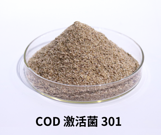 COD激活菌301